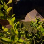 WhatsApp Image 2025-10-09 at 05.38.36_e24470f7