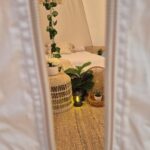 WhatsApp Image 2025-11-08 at 3.06.15 PM